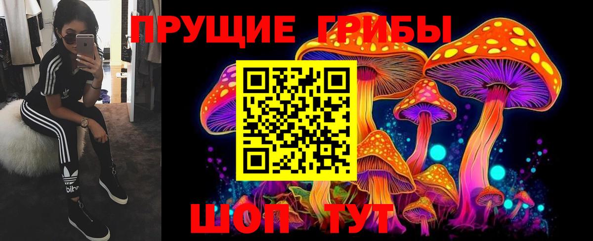 Галлюциногенные грибы прущие грибы  Вход с VPN  Псилоцибиновые грибы MAGIC MUSHROOMS  Михайловка 